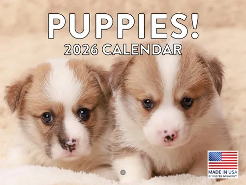 Vista 219 de Calendario mensual de pared Airedale Terrier Dog 2027 rojo (Airedale Terrier)