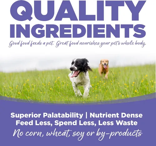 Vista 4 de NutriSource Alimento para cachorros para razas pequeñas y medianas, harina de pollo y arroz, 4 libras Pollo y Arroz, Alto Proteína, Estómago