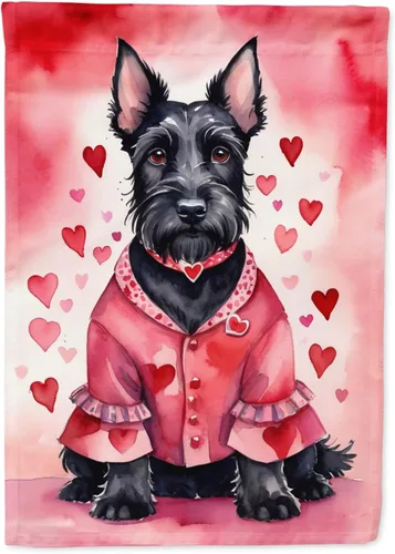 Vista 207 de Caroline's Treasures DAC5252GF Affenpinscher - Bandera de jardín con texto en inglés "My Valentine", bandera decorativa para patio exterior, patio