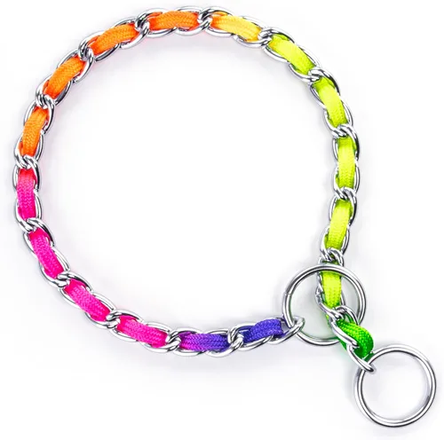 Vista 14 de TSPRO Collar de metal resistente de acero inoxidable, ajustable y duradero, para perros pequeños, ideal para caminar y entrenar