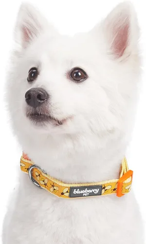 Vista 2 de Blueberry Pet 10+ Patrones Zoo Fun Collar de perro