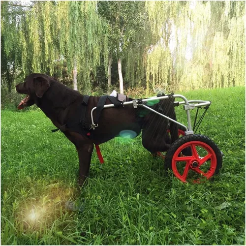 Vista 2 de Wheelchair for Large Dogs Upgraded Dog Wheels for Bac Legs Pet Cart Dog Wheel Chair Hind Legs Rehabilitation, Walin Wheels Help Em Up Harness