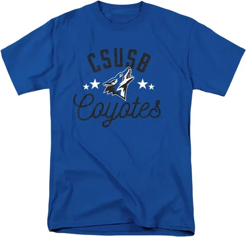 Vista 14 de Collegiate Distressed Mascot Unisex Adult T Shirt Collection 3 Universidad de Adelphi