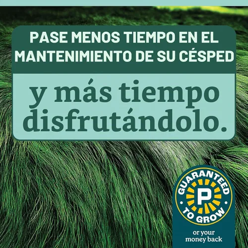 Vista 4 de Pennington Mezcla sin cortar, semillas de hierba de festuca, semillas