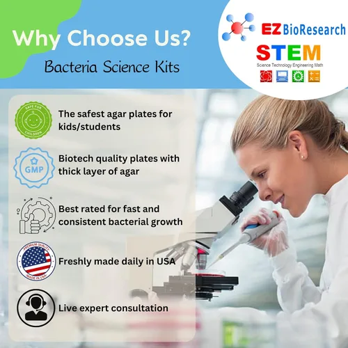 Vista 5 de Kit de ciencias de bacterias EZ Bioresearch (IV): kit de proyecto de ciencias Placas de agar LB preparadas e hisopos de algodón Exclusivo libro