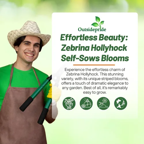 Vista 5 de Outsidepride Zebrina French Hollyhock Seeds – 500 piezas de semillas perennes de color blanco y morado, semillas de flores tolerantes a la sequía