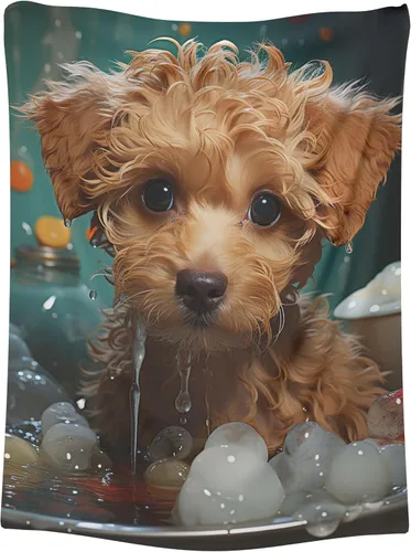 Vista 12 de Beaglier - Manta de poliéster de regalo para perro, manta pequeña de 30 x 40 pulgadas
