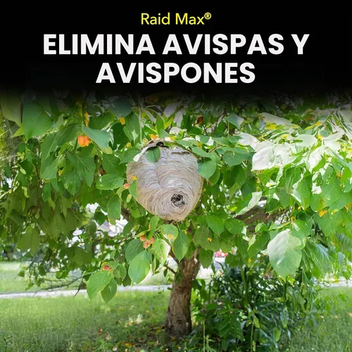 Vista 7 de Raid MAX Espray espumoso para avispas y avispones insectos, 16.5 onzas