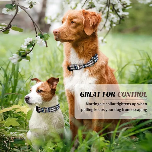 Vista 5 de Hikiko - Collar de cuadros para perros con collar ajustable de nylon Martingale con hebilla de liberación rápida (Pluma de beige, X-Pequeño)