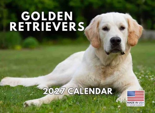 Vista 108 de Calendario mensual de pared Airedale Terrier Dog 2027