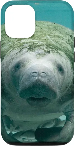 Vista 28 de Manatee Case for iPhone 17