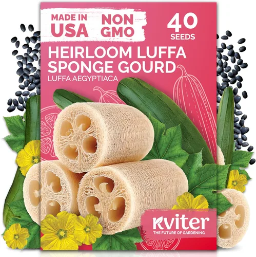 Vista 22 de KVITER 50 semillas de calabaza de azúcar orgánicas (Cucurbita Pepo) – Semilla de calabaza pequeña reliquia, carne dulce de grano fino para enlatar