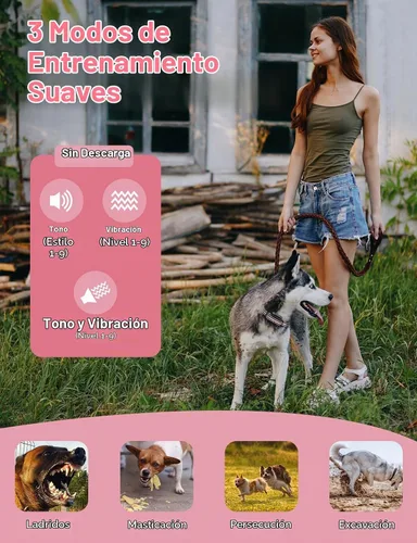 Vista 3 de Collar de entrenamiento para perros sin choque 2 perros Negro - blanco
