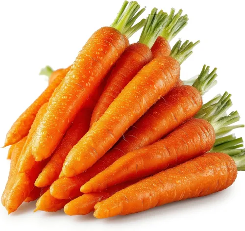 Vista 60 de 50 Hale's Best Cantaloupe Seeds for Planting - Sweet Aromatic Heirloom, Non-GMO, USA Grown by RDR Seeds