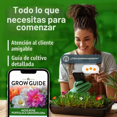 Vista 3 de HOME GROWN Moss Rose Portulaca Seeds, 47000+ Semillas, Portulaca