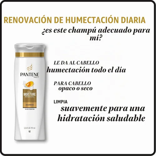 Vista 7 de Pantene Daily Moisture Renewal Duo set, champú de 12.6 onzas y acondicionador de 12 onzas