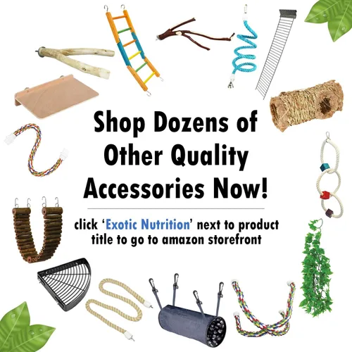 Vista 4 de Sandy Branch (bifurcado) – Accesorio duradero de varias ramas para recortar uñas – Planeadores de azúcar, ardillas, degus, titíes, monos, loros