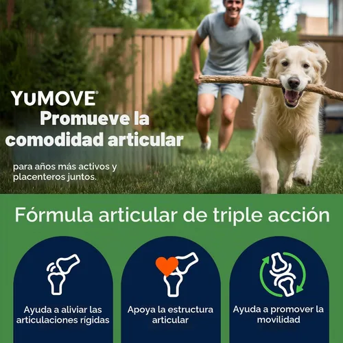 Vista 3 de YuMOVE Suplemento para articulaciones para perros mayores Glucosamina y Mejillón de labios verdes, glucosamina, ácido hialurónico y Omega 3