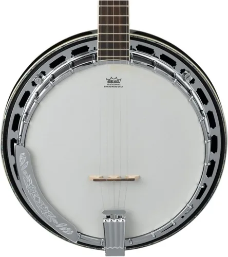 Vista 2 de Ibanez Banjo B300