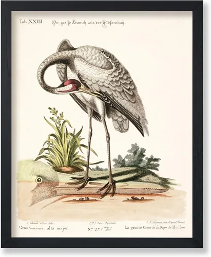 Vista 23 de Poster Master Póster vintage de James Audubon – Impresión retro de amargo americano – Arte de aves de América – Regalo para hombres, mujeres
