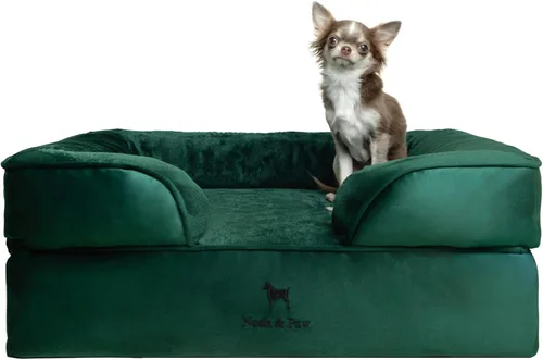 Vista 43 de NOAH & PAW Cama para perros pequeños, 20 x 15 x 8 pulgadas, cama para gatos de interior, espuma viscoelástica ortopédica de cáscara de huevo