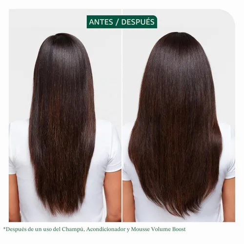Vista 2 de Biolage Volume Boost Set – For Fine Hair