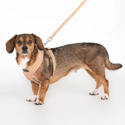 Vista 4 de Puppia Dotty Arnés para perro A (sobre la cabeza), arnés de moda con patrón de lunares, para primavera y verano, para perros pequeños, beige