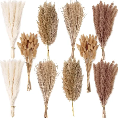 Vista 21 de 10 tallos de hierba de las pampas de 40 pulgadas de alto en color beige natural, añade un toque bohemio a tu espacio: hierba de las pampas ideal