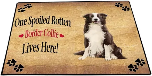 Vista 11 de Doggie of the Day Border Collie Dogs Floor Mat - 4th of July Independence Day - Best Dog Doormat - Protector Decor - Unique Portrait Art - Premium