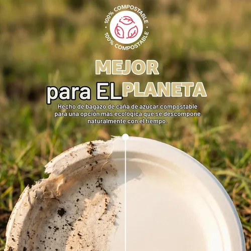 Vista 3 de Platos ecológicos, desechables, biodegradables, ultrarresistentes, de papel de caña de azúcar