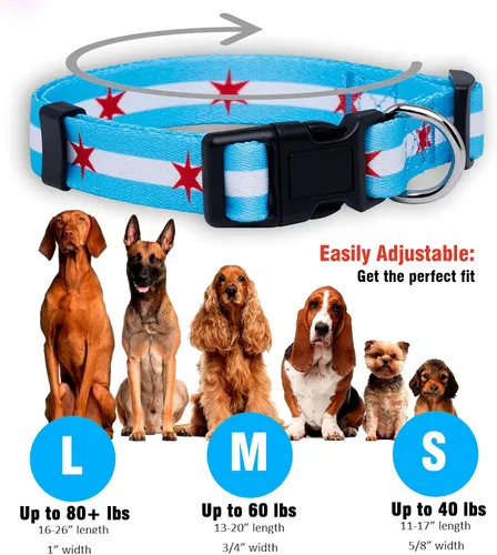 Vista 3 de Native Pup Collar de perro con bandera de Chicago (Chicago Big Stars, S)