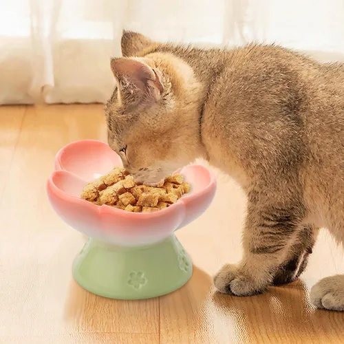 Vista 9 de Cuenco elevado de cerámica para perros para alimentos secos y húmedos, cuenco elevado de comida para gatos de superficie lisa, cuencos de comida