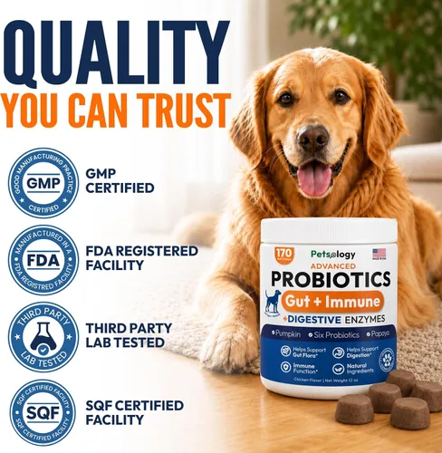 Vista 5 de (Paquete de 2) Probióticos para Perros - 340 Masticables Probióticos para Perros - Enzimas Digestivas y Prebióticos - Apoyan la Salud Intestinal