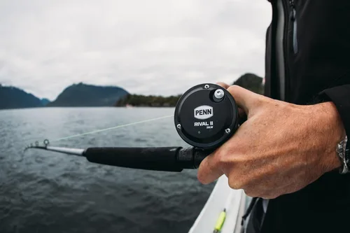 Vista 8 de Carrete de pesca Penn Rival Level Wind convencional
