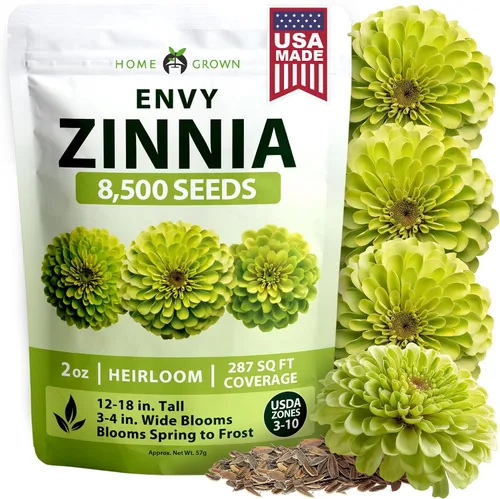 Vista 181 de HOME GROWN Bachelor Button Tall Mix 700+ Semillas de flores Centaurea