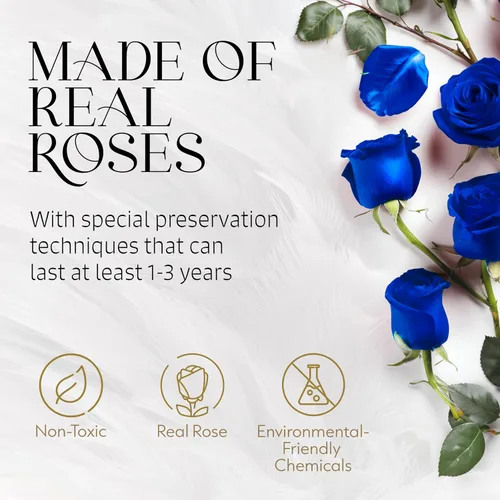 Vista 2 de GLAMOUR BOUTIQUE Rosas eternas preservadas en una caja, flores para siempre, rosa para siempre en una caja para esposa o ella, regalo de flores Azul