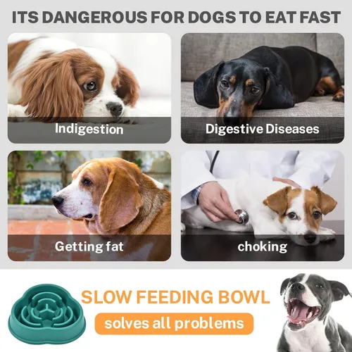 Vista 5 de Cuencos de alimentación lenta para perros pequeños y medianos, cuenco de alimentación de rompecabezas con cuña antideslizante para cachorros, no 2