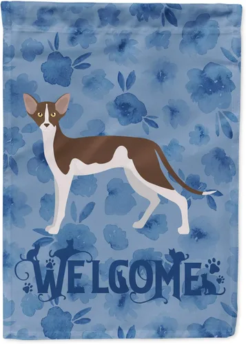 Vista 15 de Caroline's Treasures CK4813CHF - Bandera de bienvenida con gato abisinio azul, manga grande, para porche, para colgar en la pared, poliéster