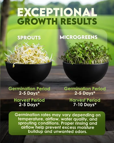 Vista 5 de Nature Jims Sprouts Semillas de brócoli orgánicas para germinar, certificadas sin OMG, ricas en sulforafano, semillas microverdes de crecimiento