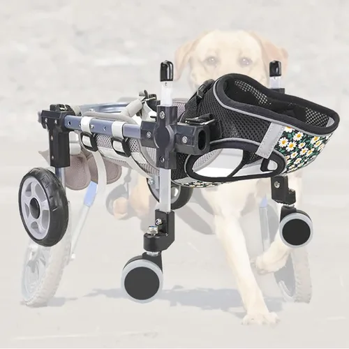 Vista 10 de Silla de ruedas para perros para patas traseras ajustables, 2/4 ruedas para mascotas, patas traseras, carritos para perros con ruedas ligeras, ayuda