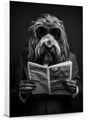 Vista 127 de Thuan Affenpinscher - Póster de lienzo con tus fotos, arte de pared para decoración del hogar, regalo conmemorativo para amantes de las mascotas