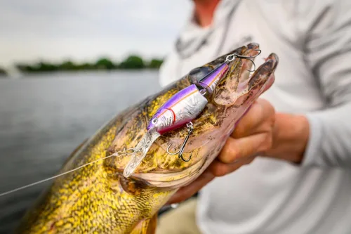 Vista 2 de Berkley Flicker Shad Jointed Fishing Hard Bait Negro plateado
