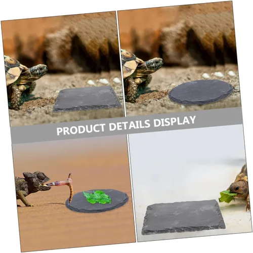 Vista 5 de Ipetboom 2pcs Cuenco de pulido de uñas Reptil Basking Plataforma Tortuga Plato de comida Colorfast Multifuncional