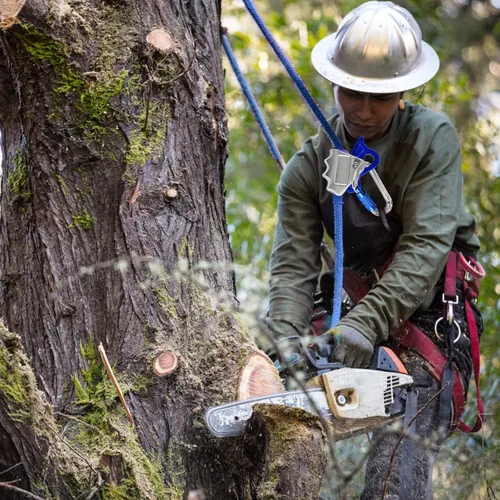 Vista 7 de Línea abatible para trepar árboles, Cuerda de escalada de árbol para arboristas Equipo de escalada de árbol Cuerda de escalada de árbol 2.44m