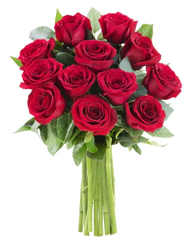 Vista 63 de KaBloom - Rosas arcoíris (media docena)- Flores frescas para cumpleaños, San Valentín y Día de la Madre