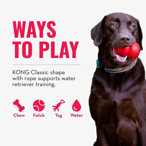 Vista 4 de KONG - Aqua - Juguete flotante para jugar en el agua - para perros medianos Floating KONG Natural Rubber Water Toy with Foam Interior & Rope for