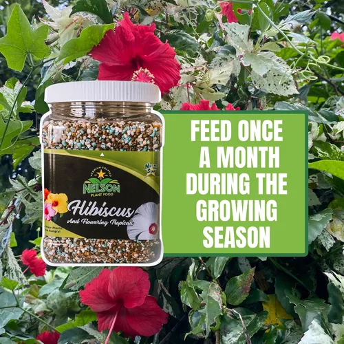 Vista 4 de Nelson Plant Food - Fertilizante NutriStar Hibiscus - Alimento para plantas de interior y exterior - Fertilizante de hibisco tropical para todas