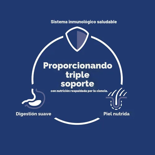 Vista 3 de Hill's Science Diet - Alimento seco para gatos con estómago y piel sensible
