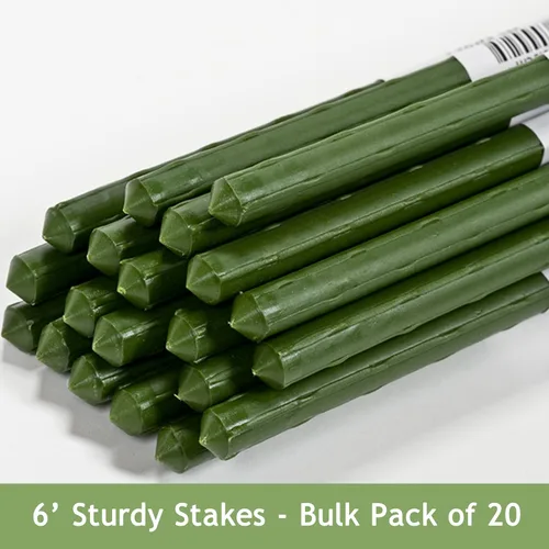 Vista 2 de Gardener's Blue Ribbon ST6BULK - Estacas resistentes a granel, 6 pies (paquete de 20)