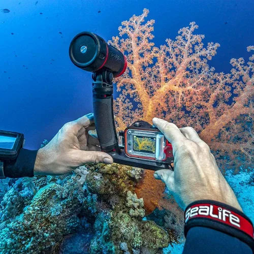 Vista 13 de SeaLife ReefMaster RM-4K Cámara de acción subacuática con video 4K e imágenes fijas de 14 mp, modos de escena subacuática, lente gran angular